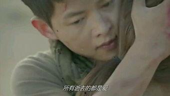 太阳的后裔16搞笑,笑料百出，军医与特种兵的欢乐日常！